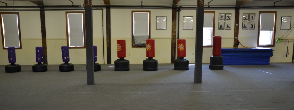 Kids Punching Bags area