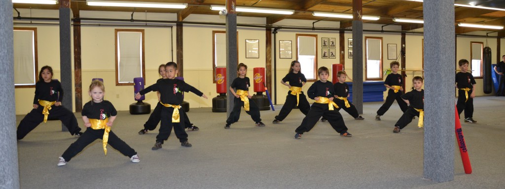 Kids Kung Fu Class