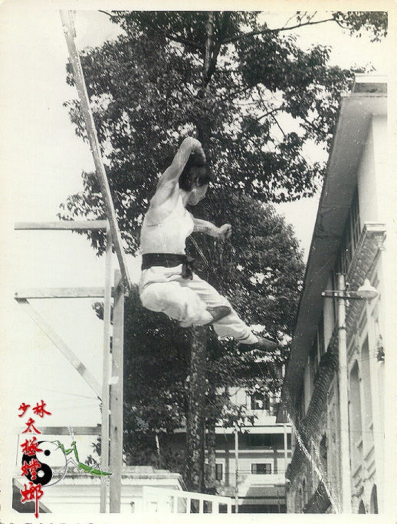 flying-hung