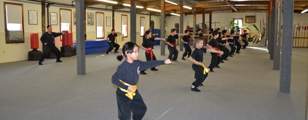 Kids Kung Fu Class